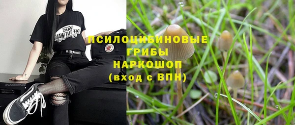 2c-b Аркадак